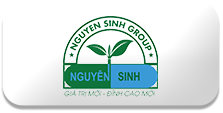 NGUYEN SINH GROUP
